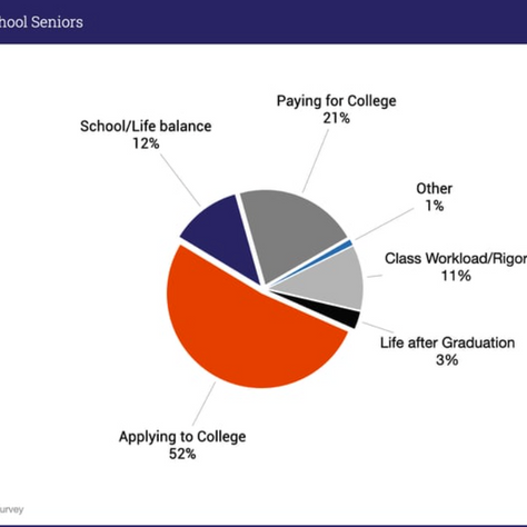 What Am I Doing?: A Guide To Surviving Senior Year