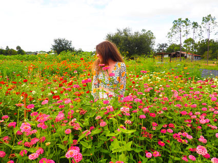 April Moodboard + Monthly Goals