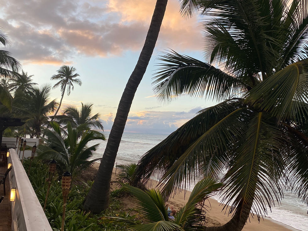Palm trees line a serene beach at sunset, with colorful clouds in the sky. Tiki torches and a building edge are visible on the left.