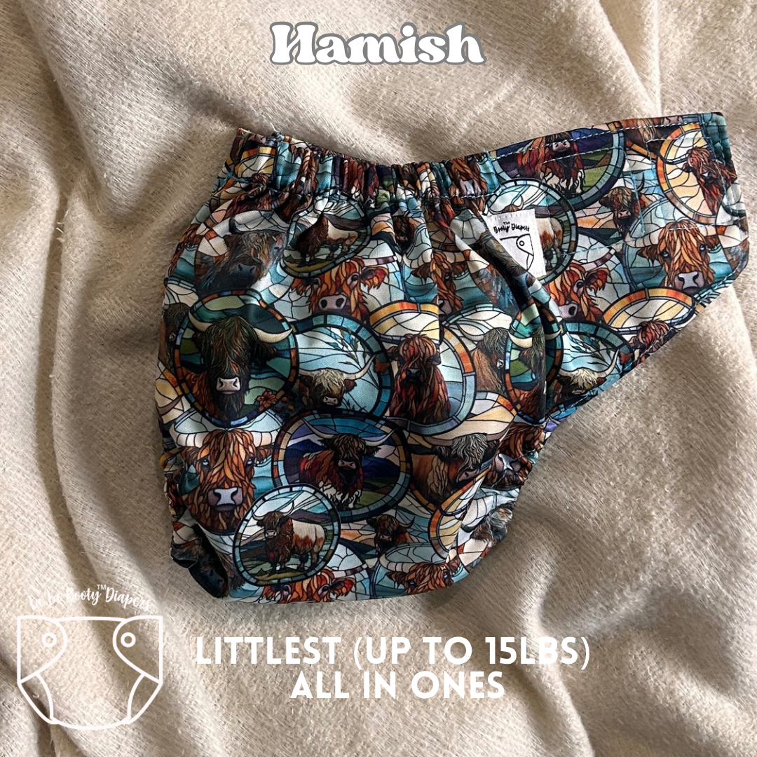 Hamish Print Littlest All-in-One Diaper Exemplar Fit