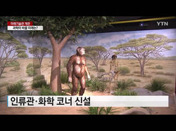 YTN 뉴스