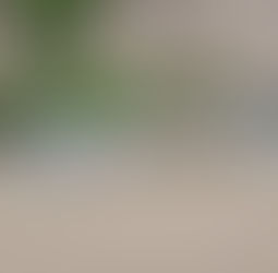 280 tonnes. Chaque jour. C'est ce qu'Abidjan produit comme déchets plastiques. Pas par mois. Pas par semaine. Par jour. Soit l'équivalent du poids de trois avions de ligne A380 au maximum de leur capacité. En une année, cela représente plus de 100.000 tonnes rien que pour la capitale économique. À l'échelle nationale, la Côte d'Ivoire génère entre 40.000 et 100.000 tonnes de déchets plastiques annuellement, selon les estimations officielles du ministère de l'Environnement. Et parmi ces montagnes de plastique, seulement 5 à 20% sont recyclés. Le reste ? Jeté dans les rues, abandonné dans les caniveaux, brûlé à l'air libre à l'entrée de chaque village et ville du pays, ou déversé directement dans les cours d'eau.