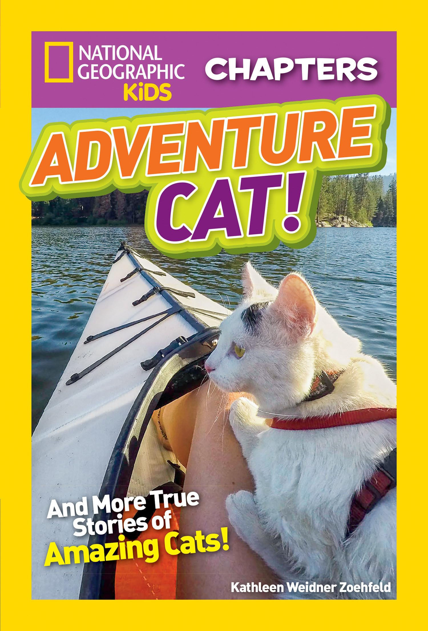 Nat Geo Kids Adventure Cat! And More True Stories of Amazing Cats!-10898