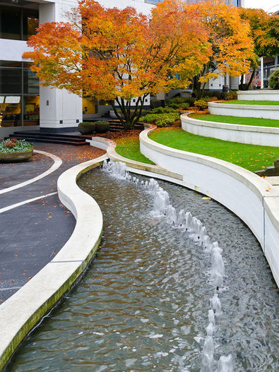 Umgebungsreinigung & Grünpflege