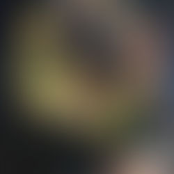 Fortune Centre Singapore: A vegan & vegetarian heaven!