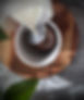 IMG_4909.PNG