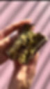 IMG_9911.PNG