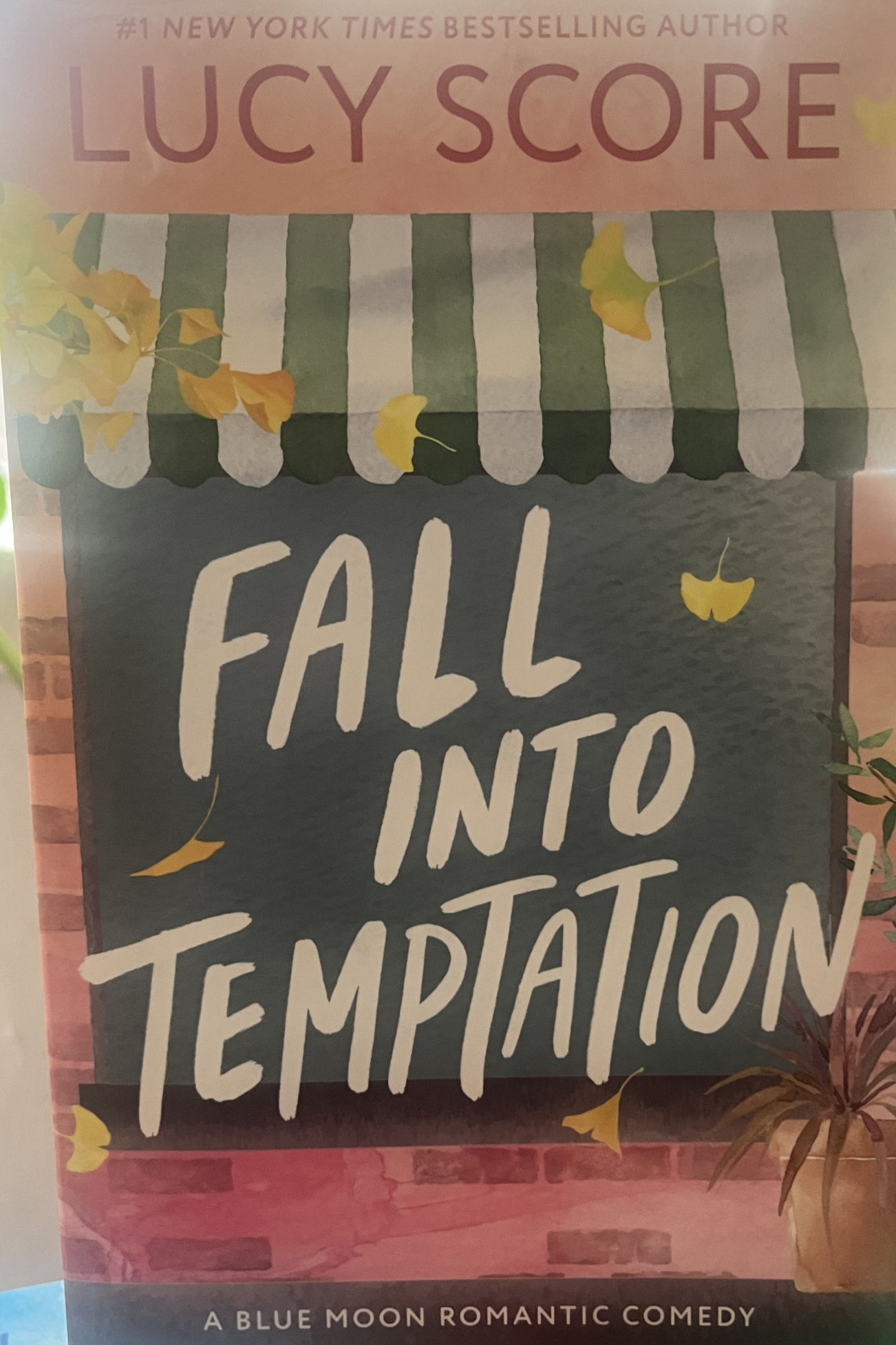 Fall Into Temptation by Lucy Score