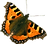 Orange Butterfly 2