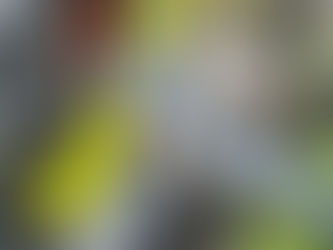 Sicher und richtig verzurrt: So befestigst du deine E-Ride Pro auf dem TowCar Motorradträger