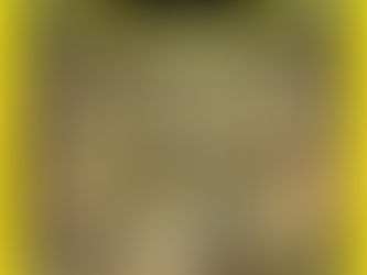 Warum der Dirt Park Drölitz „E-Only“ ist: