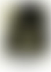 Vuelve SweetKiss Momma representando al mejor rock sureño (8 de abril)