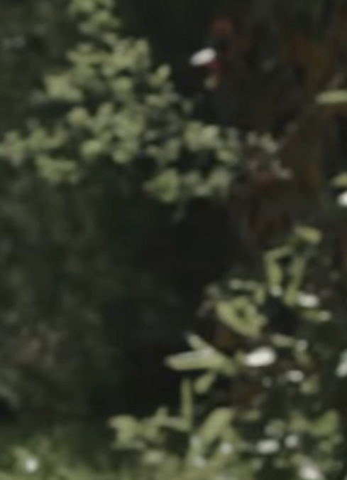 Captura de Pantalla 2024-06-10 a la(s) 16.40.20.png