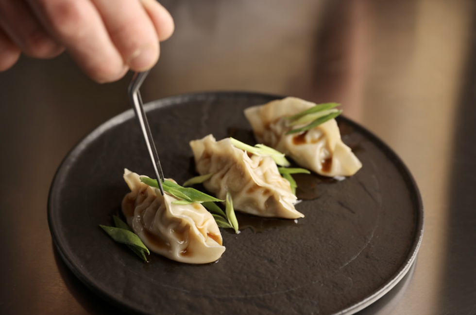 Plated Dumplings.png