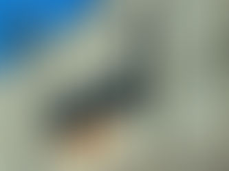 Los 14 principios de liderazgo de Amazon