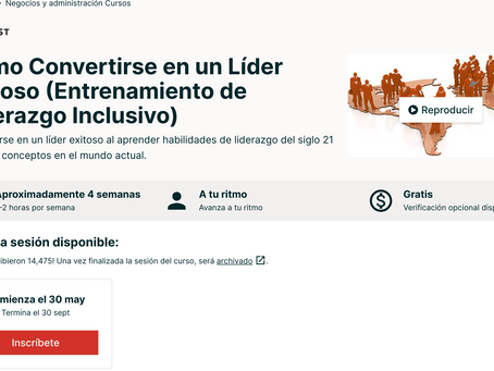 Cómo Convertirse en un Líder Exitoso (Entrenamiento de Liderazgo Inclusivo)