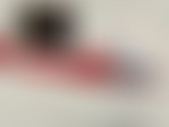 Helicópteros en ganga: gobierno de Fayad vendió tres a precios de remate