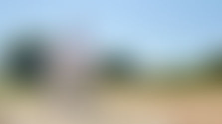 Investir après 60 ans : concilier sécurité et performance