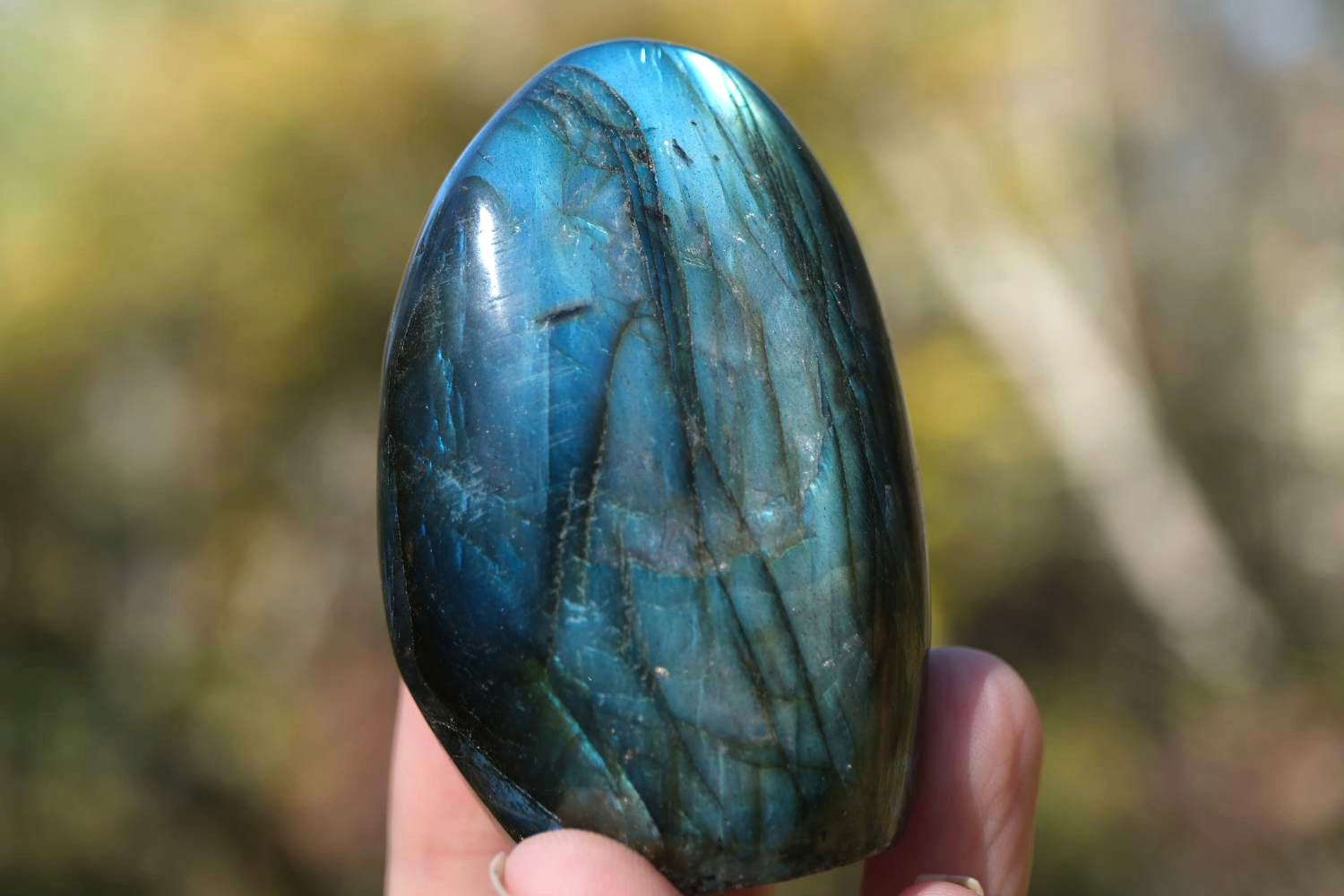 Labradorite Free Form
