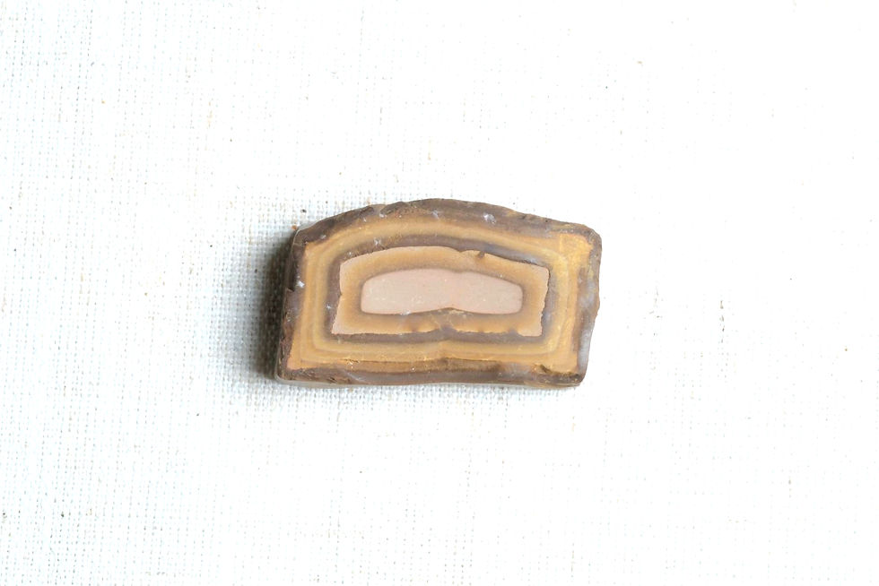 Thumbnail: Stromatolite Concretion | Ancient Wisdom & Perseverance