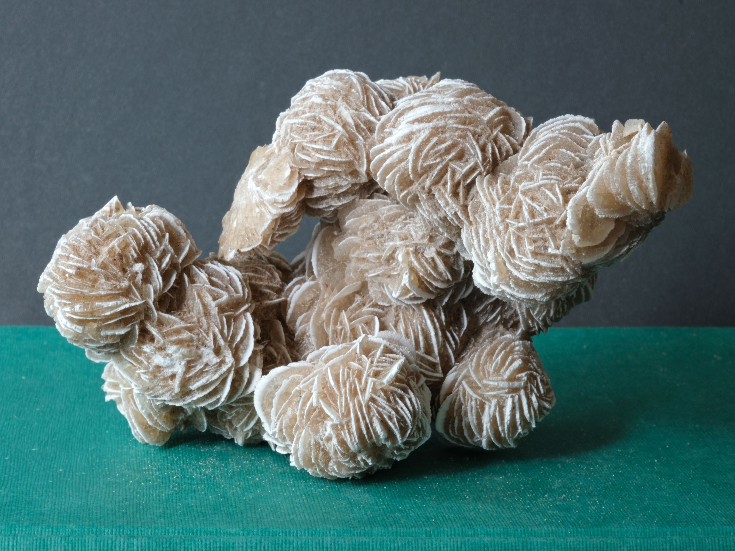 Desert Rose Cluster from Mexico