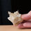 Thumbnail: Tibetan Quartz Cluster