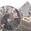 Thumbnail: Madagascar  Ammonite - The Architecture of the Spiral