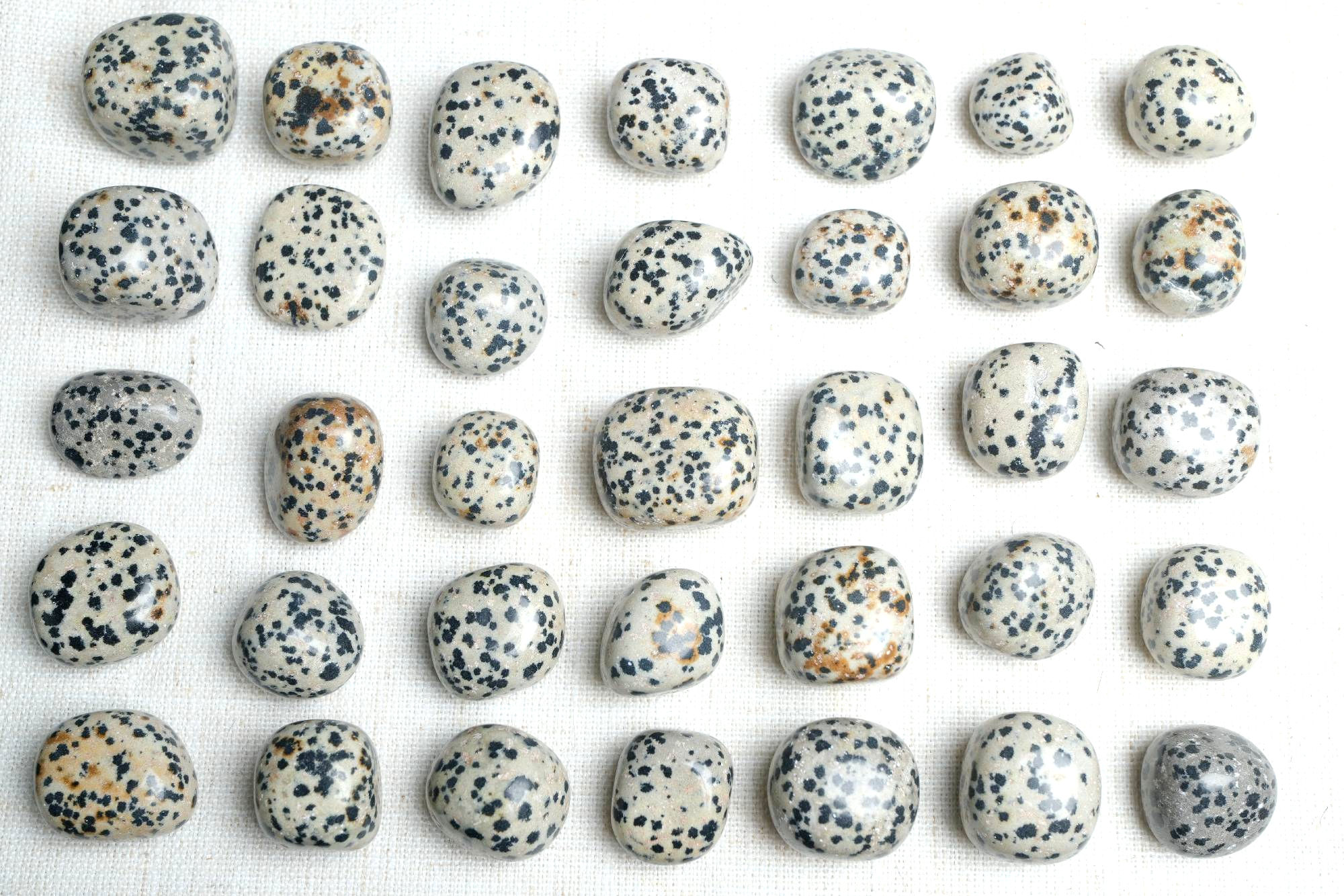 Dalmatian Jasper Tumbled Stone | Joy, Grounding & Protection