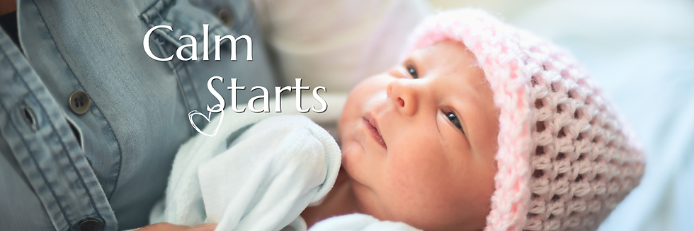 Icons SoC Values (2).png