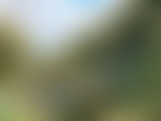 Torri del Benaco: the Pilgrims’ Path and the Suspension Bridge