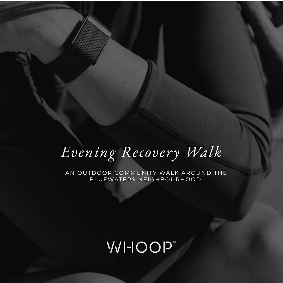 Evening Recovery Walk