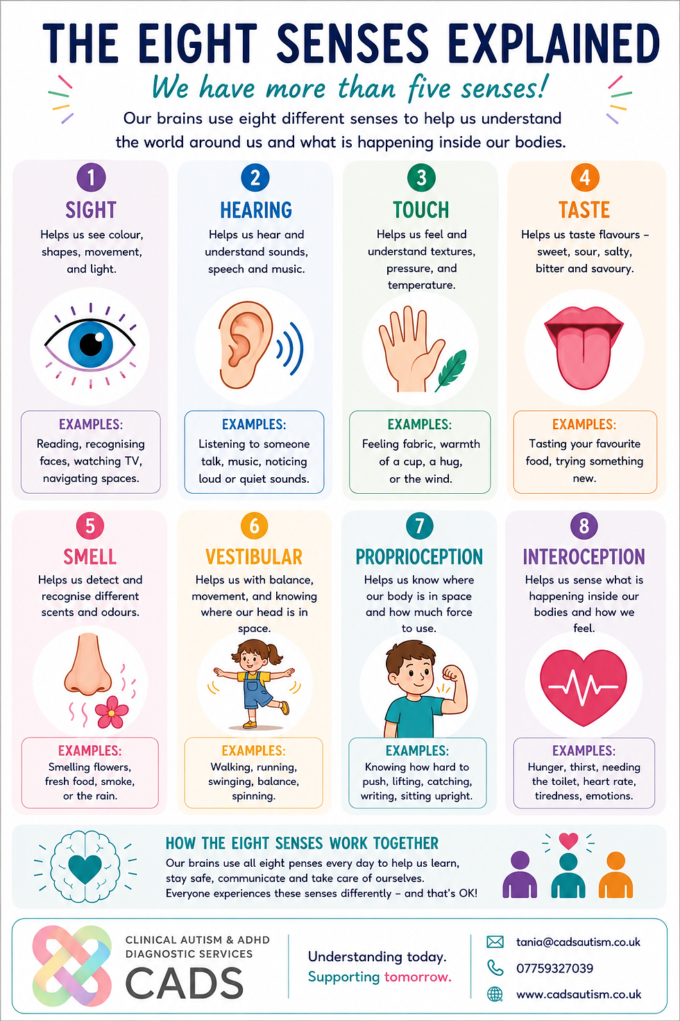 Our Eight Senses Explained!