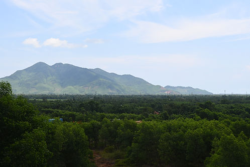 DSC_0986.JPG