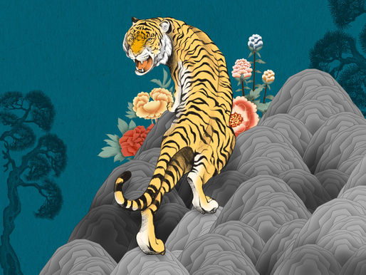 Animal Illustration Ideas
