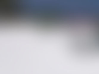 Argamassas Poliméricas