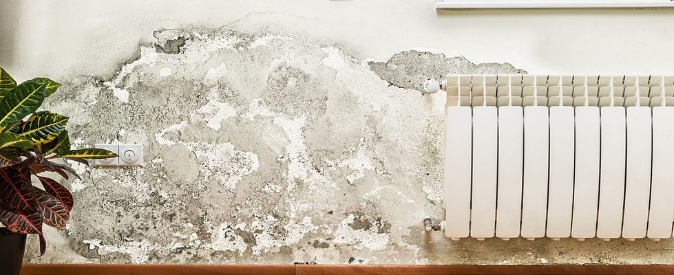 tratamento paredes.jpg