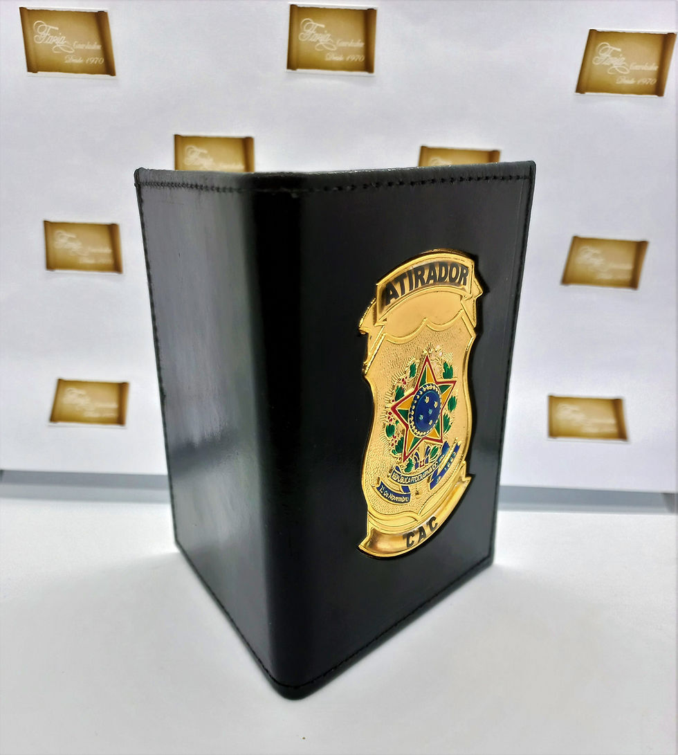 Miniatura: capa