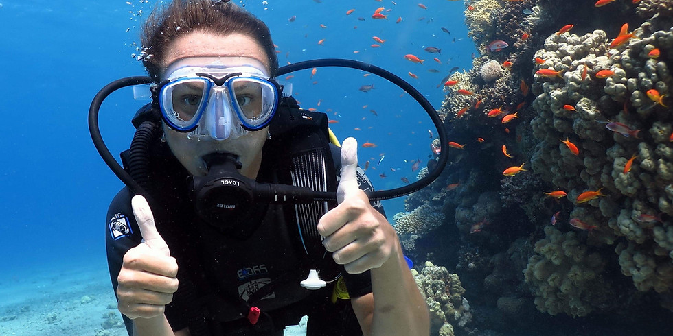 PADI Open Water Diver Course 11/08/2019