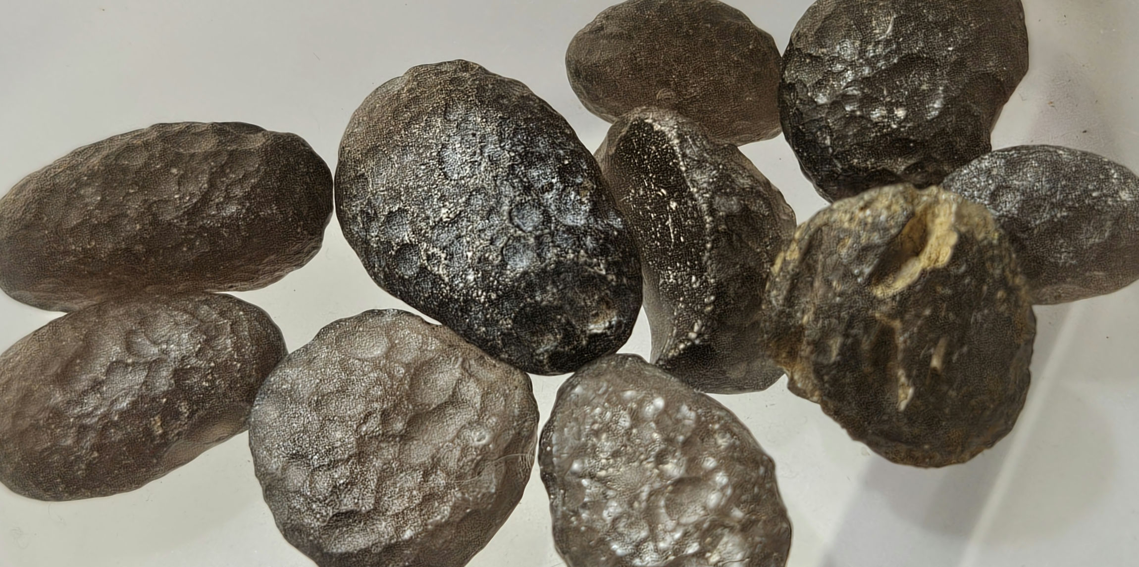 Tektite - Assorted Pieces - Large