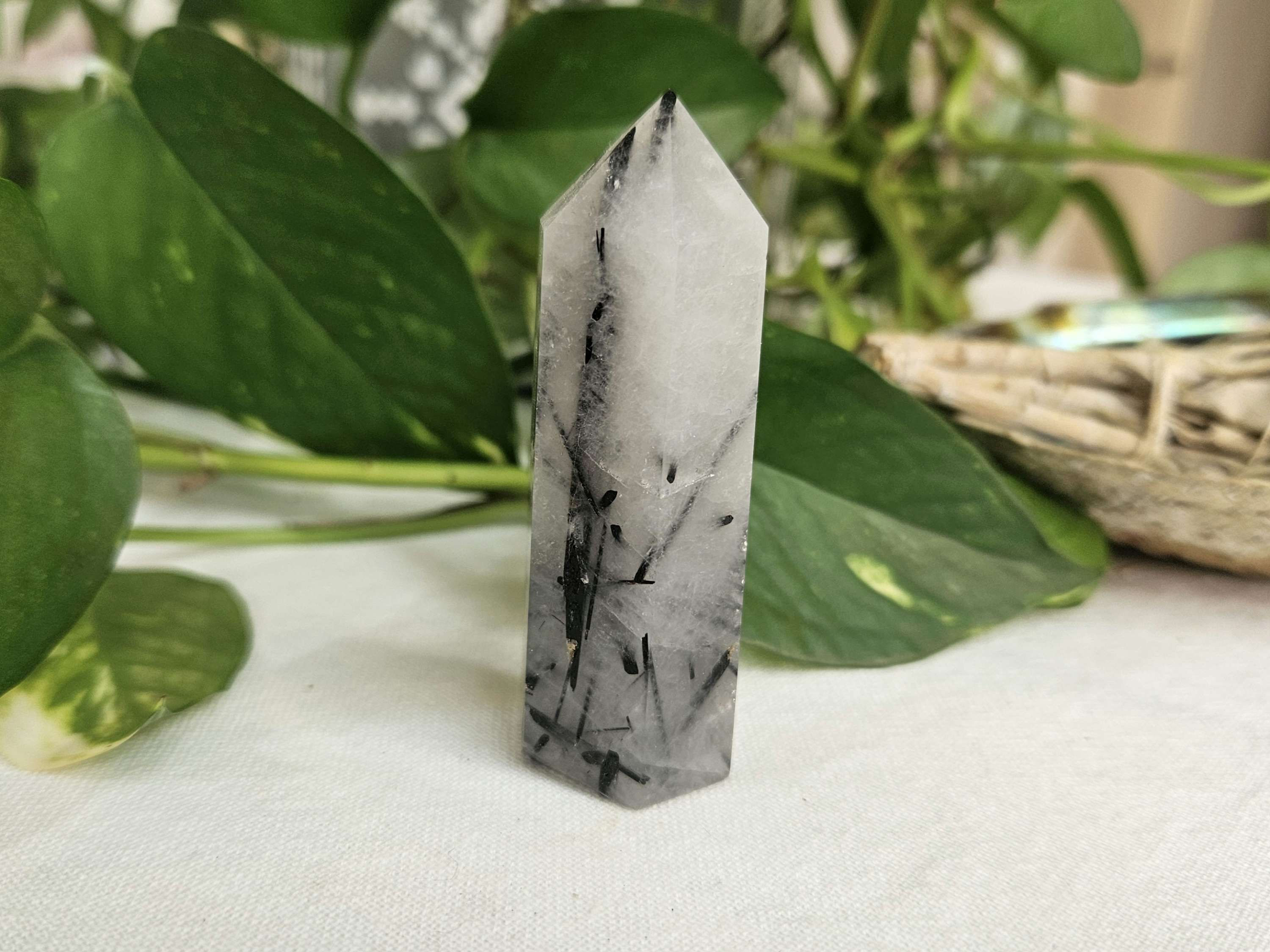 Black Tourmaline in Quartz - Tower - 7cm