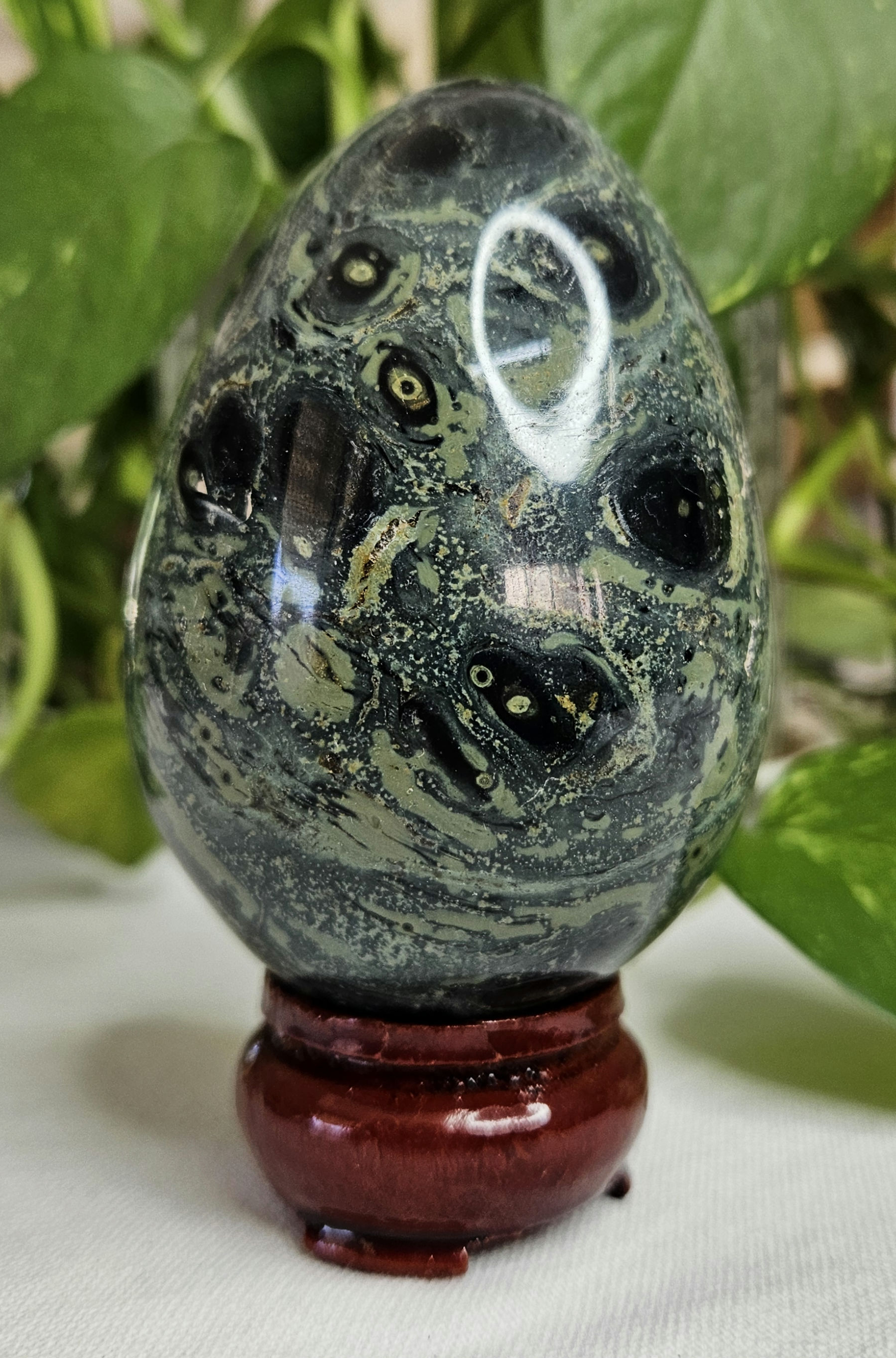 Kambaba Jasper - Egg - 425g