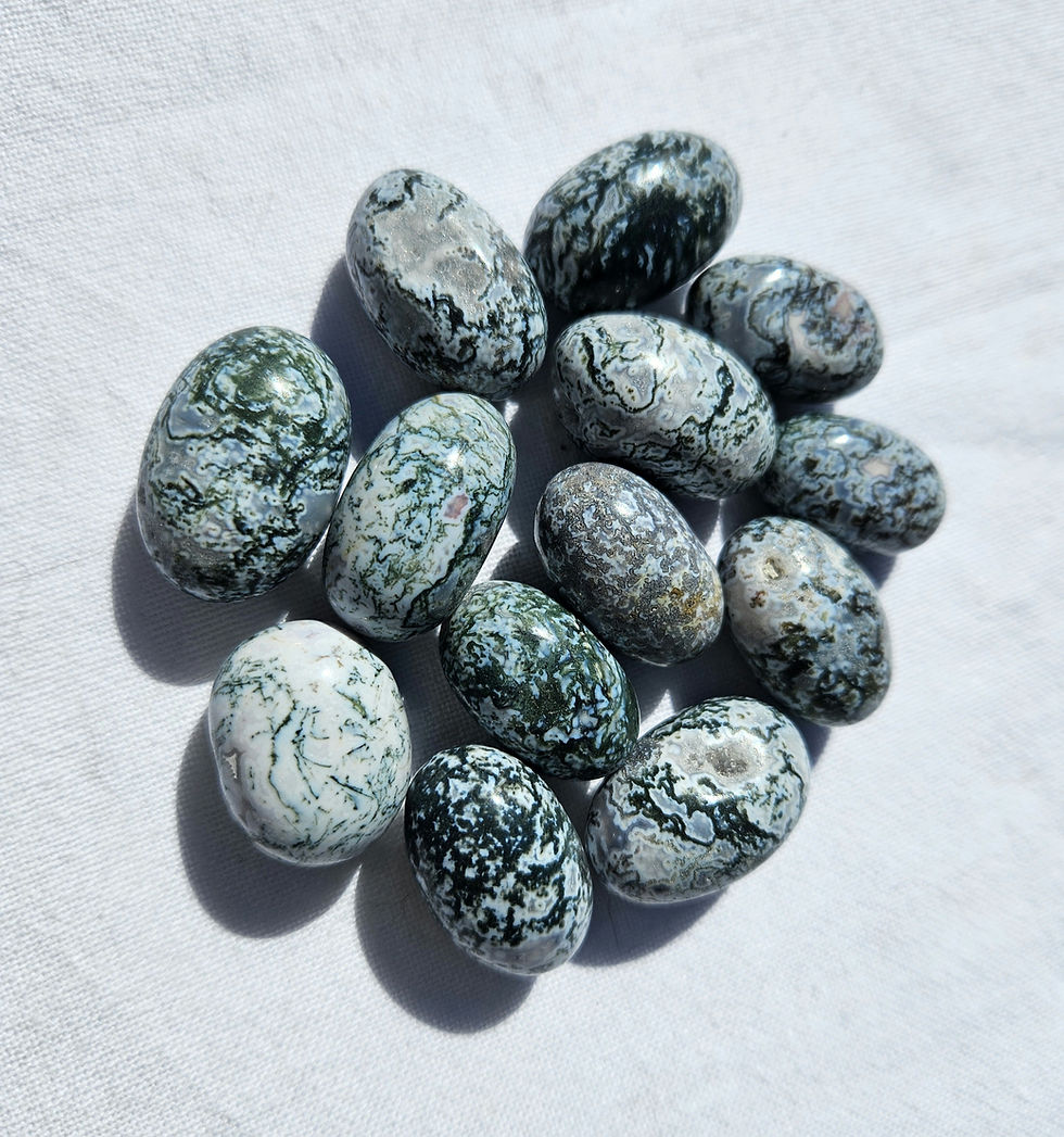 Tree Agate - Assorted Tumbles
