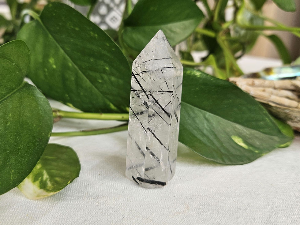Black Tourmaline in Quartz - Tower - 6.5cm