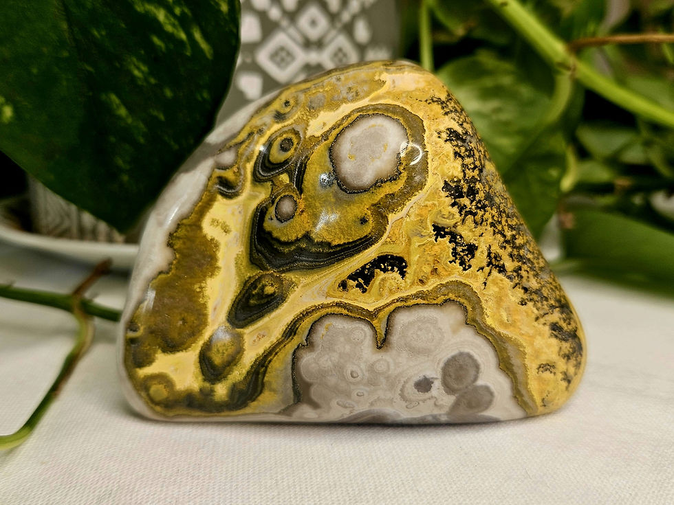 Bumblebee Jasper - 324g