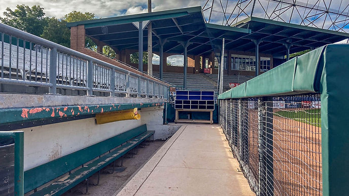 Ballpark Brothers | Labatt Park, London, ON