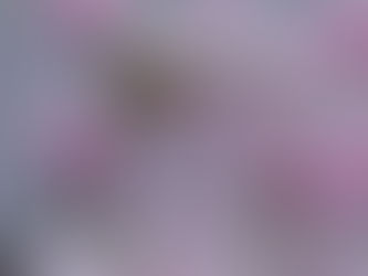 Take That Brave Step And Start Creating Your Own Dream