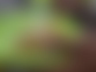 Ready to Ignite Your Culinary Passion in 2024? Sovise Academy's First Class Starts Today! Don't Miss Out