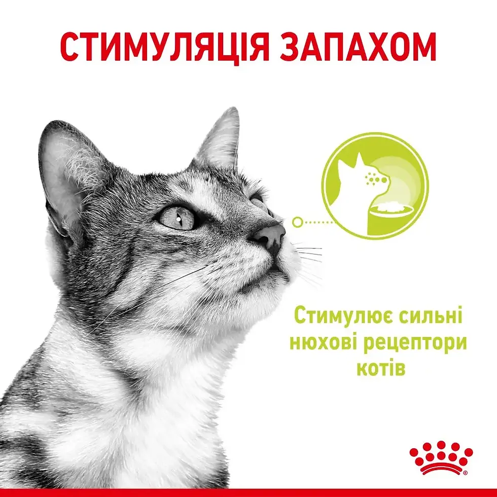 Прев'ю: Вологий корм для вибагливих до запаху котів Royal Sensory Smell pouch у соусі85г