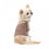 Прев'ю: Футболка Pet Fashion для дівчинки Rose M