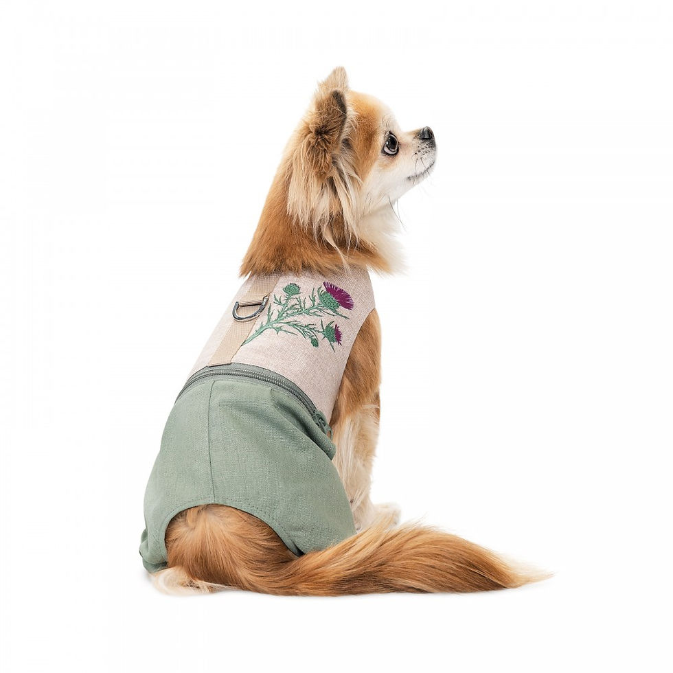 Прев'ю: Шлея-костюм Pet Fashion для собак Patrik світло-сіра, розмір S